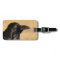 Portrait of a raven