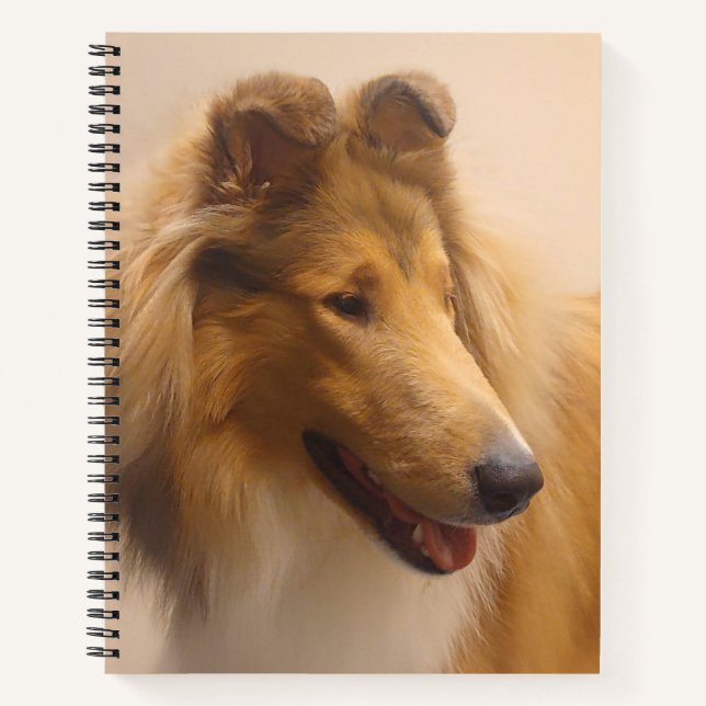Portrait of a Rough Sable Collie Notebook (Front)