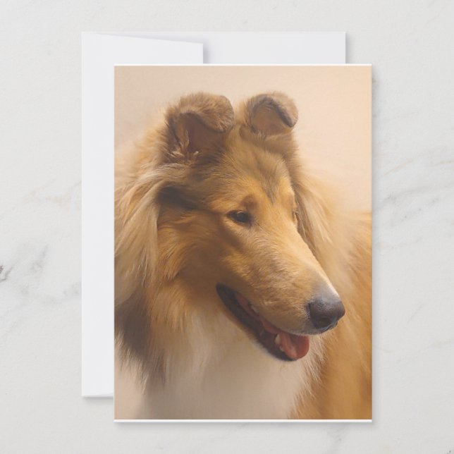 Portrait of a Rough Sable Collie Thank You Card (Front)