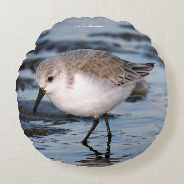 Portrait of a Sanderling Round Cushion (Front)