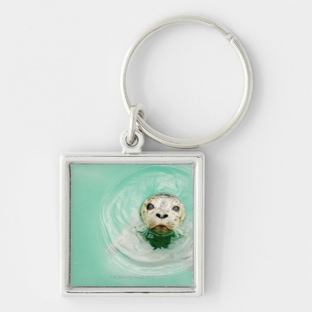 Portrait of a seal in water key ring (Front)