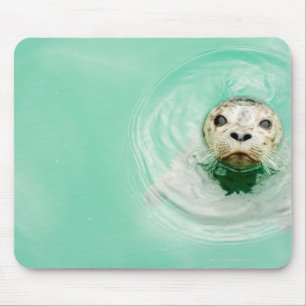 Portrait of a seal in water mouse pad