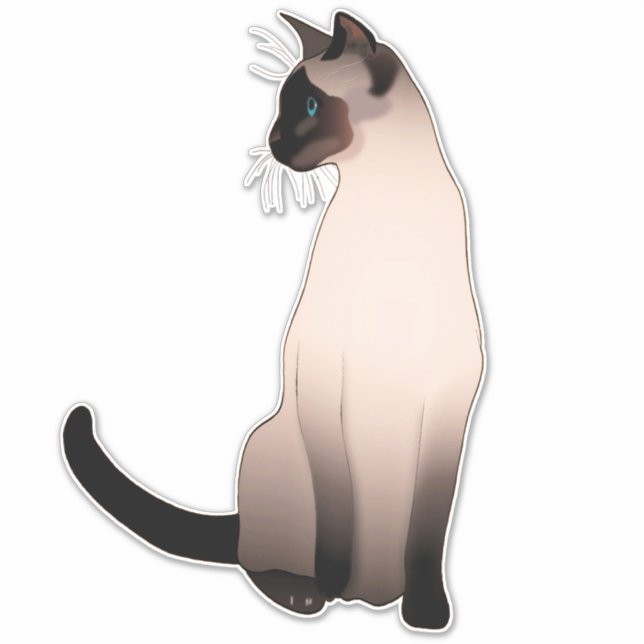 Portrait of a Seal Point Siamese Cat (Front)