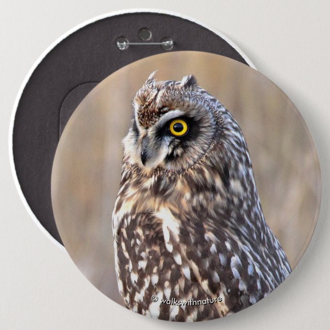 Portrait of a Short-Eared Owl 6 Cm Round Badge (Front & Back)