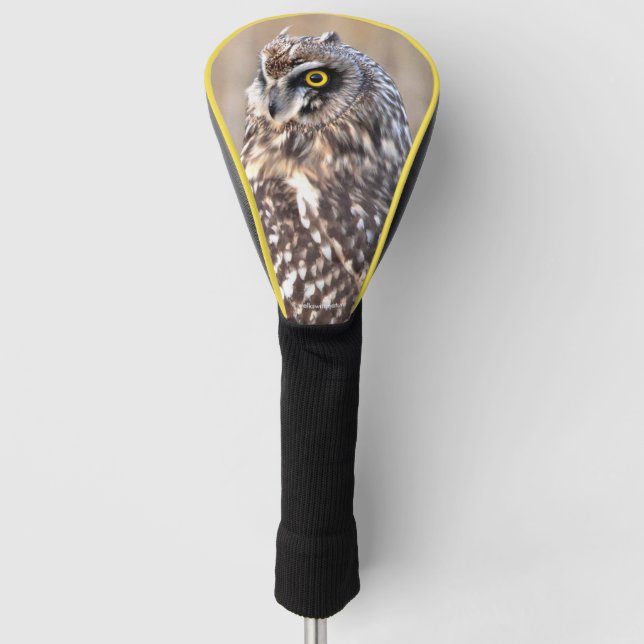Portrait of a Short-Eared Owl Golf Head Cover (Front)