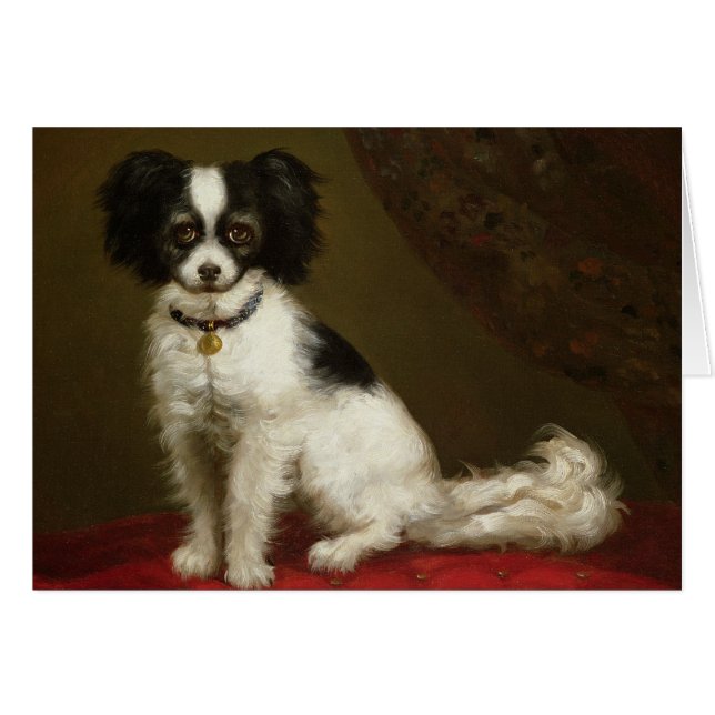 Portrait of a Spaniel (Front Horizontal)
