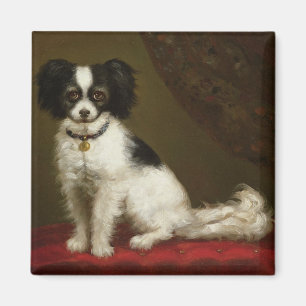 Portrait of a Spaniel Magnet