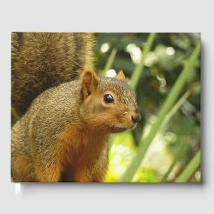 Portrait of a Squirrel Nature Animal Photography Guest Book