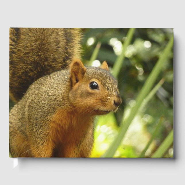Portrait of a Squirrel Nature Animal Photography Guest Book (Front)