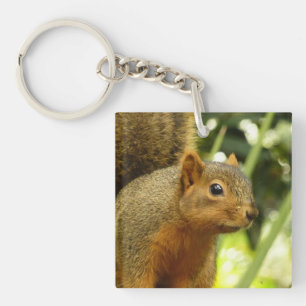 Portrait of a Squirrel Nature Animal Photography Key Ring