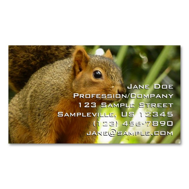 Portrait of a Squirrel Nature Animal Photography Magnetic Business Card (Front)
