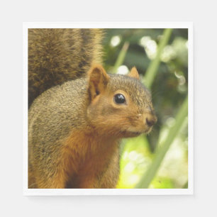Portrait of a Squirrel Nature Animal Photography Napkin