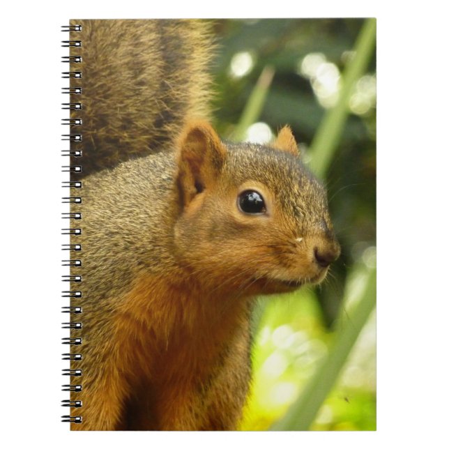 Portrait of a Squirrel Nature Animal Photography Notebook (Front)