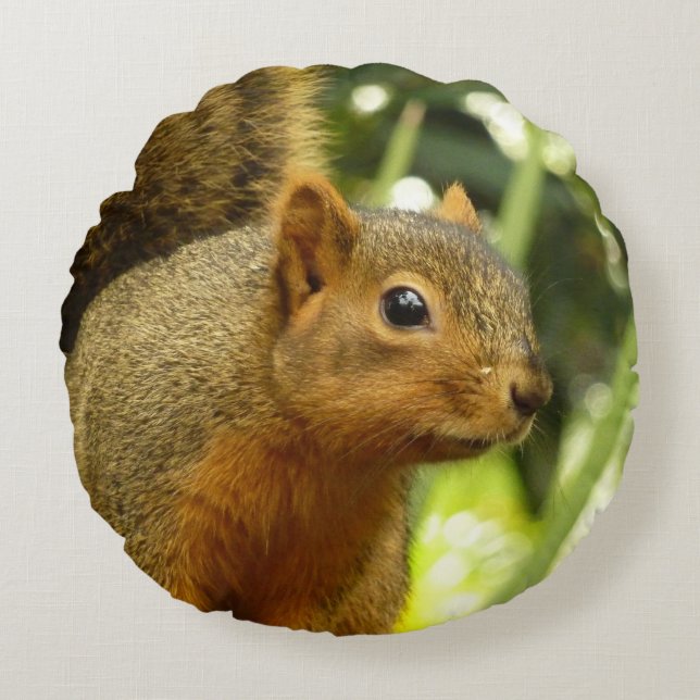 Portrait of a Squirrel Nature Animal Photography Round Cushion (Front)