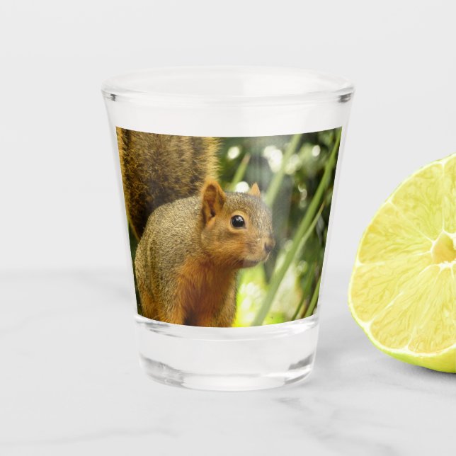 Portrait of a Squirrel Nature Animal Photography Shot Glass (Front)