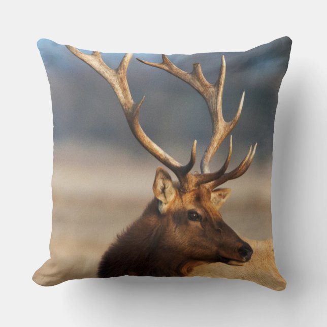 Portrait of a stunning bull elk cushion (Front)