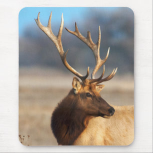 Portrait of a stunning bull elk mouse pad