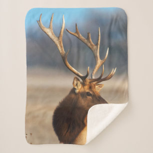 Portrait of a Stunning Bull Elk Sherpa Blanket