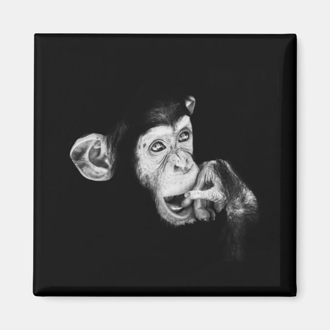 Portrait of a thinker Chimpanzee Magnet (Front)