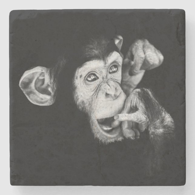 Portrait of a thinker Chimpanzee Stone Coaster (Front)