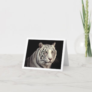 Portrait of a White Bengal Tiger Card