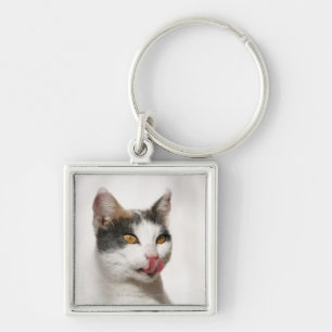 Portrait of a white cat licking key ring