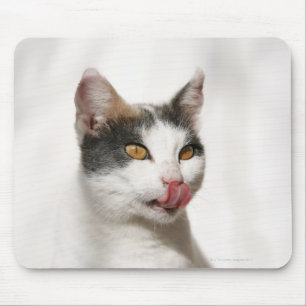 Portrait of a white cat licking mouse pad