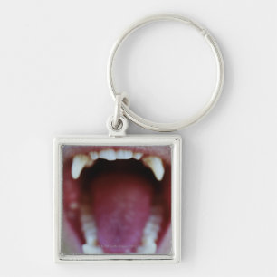 Portrait of a White-Throated Capuchin Monkey Key Ring