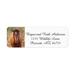 Portrait of a Wild Mustang Return Address Label