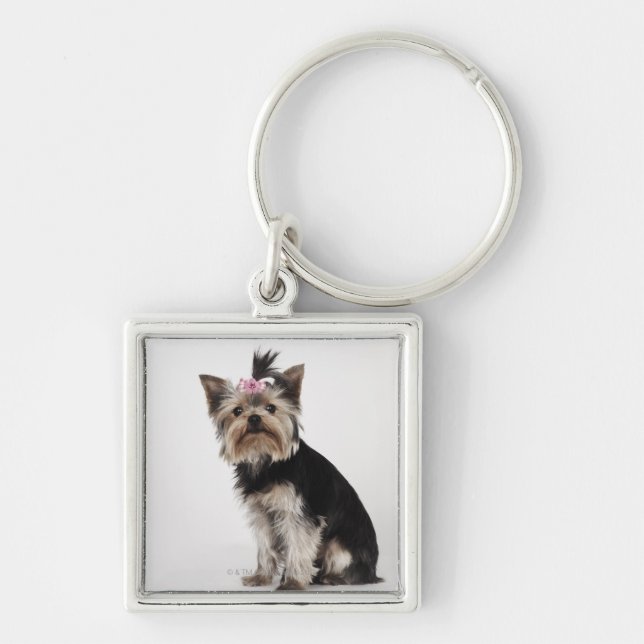 Portrait of a Yorkshire Terrier dog Key Ring (Front)