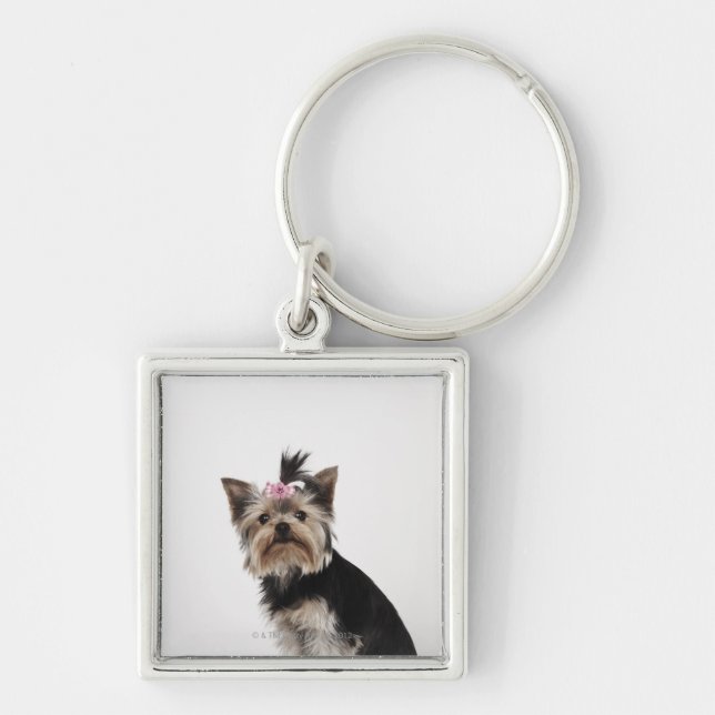 Portrait of a Yorkshire Terrier dog Key Ring (Front)