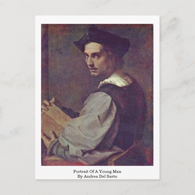 Portrait Of A Young Man By Andrea Del Sarto Postcard (Front)