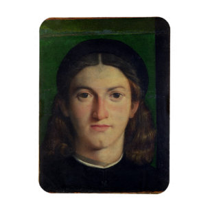 Portrait of a Young Man, c.1505 (oil on panel) Magnet