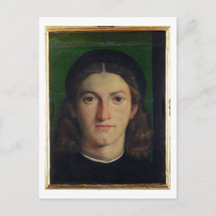 Portrait of a Young Man, c.1505 (oil on panel) Postcard