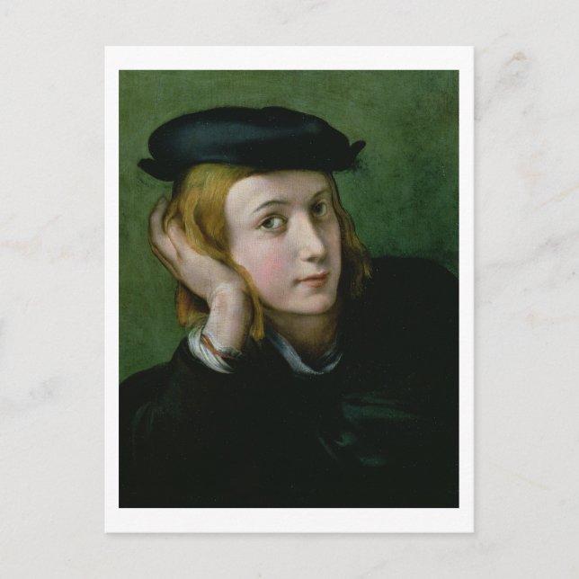 Portrait of a Young Man (oil on panel) Postcard (Front)