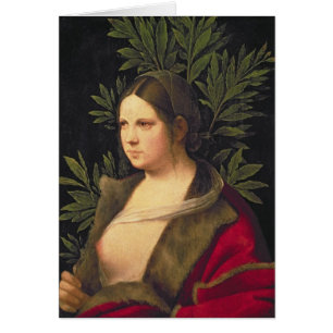 Portrait of a Young Woman , 1506