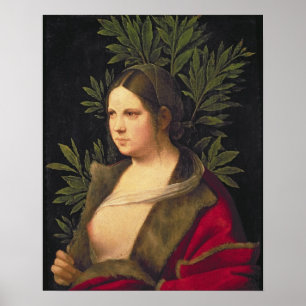 Portrait of a Young Woman , 1506 Poster