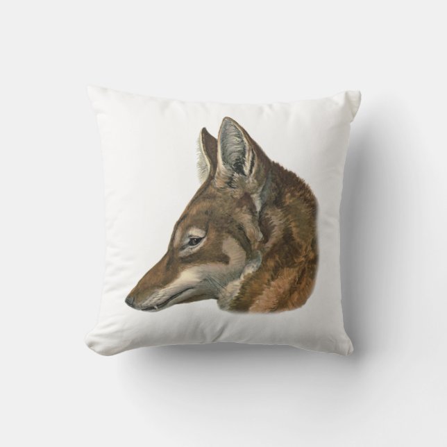 Portrait of Abyssinian Wolf Cushion (Front)