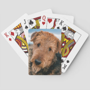Portrait of an Airedale Terrier 2 Playing Cards
