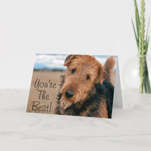 Portrait of an Airedale Terrier Card