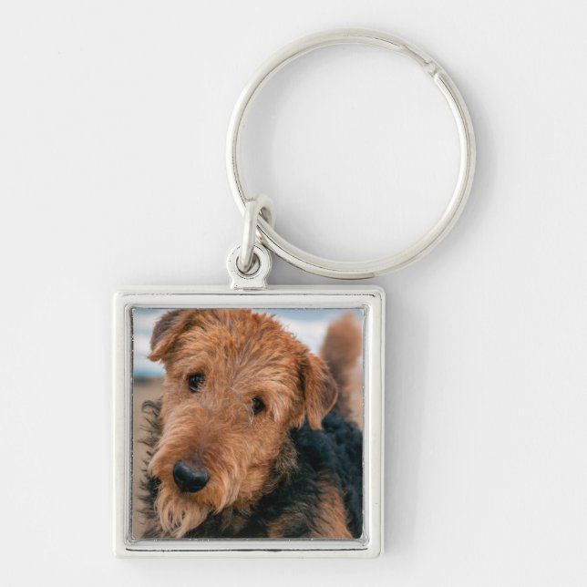 Portrait of an Airedale Terrier Key Ring (Front)