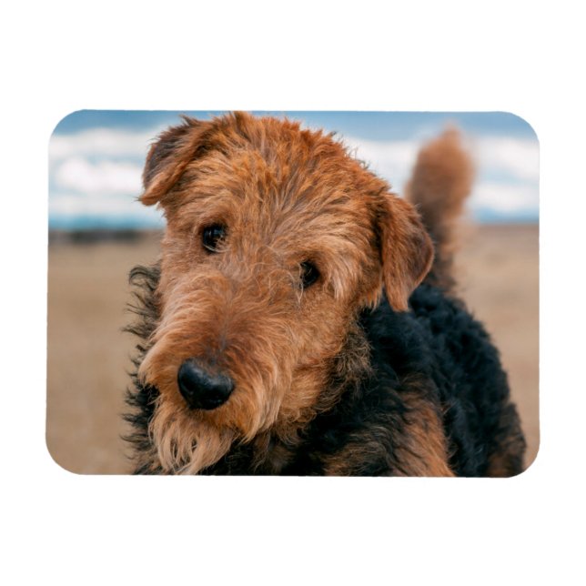 Portrait of an Airedale Terrier Magnet (Horizontal)