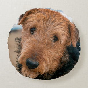 Portrait of an Airedale Terrier Round Cushion