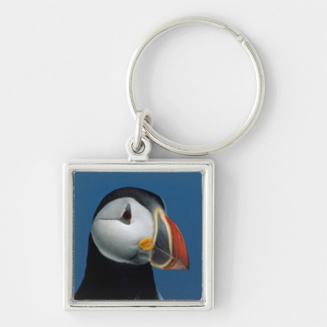 Portrait of an Atlantic Puffin Key Ring (Front)
