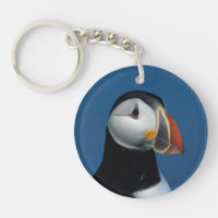 Portrait of an Atlantic Puffin