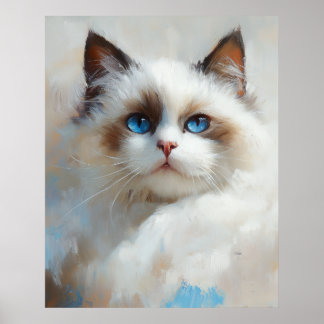 Portrait of an elegant Ragdoll Cat with blue eyes Poster