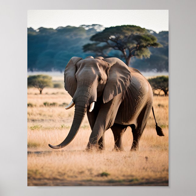 Portrait of an Elephant Poster (Front)