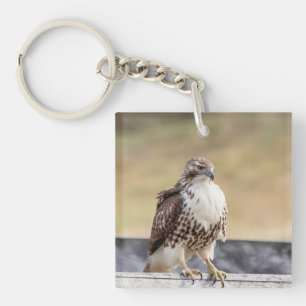 Portrait of an Immature Red Tailed Hawk Key Ring