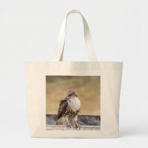 Portrait of an Immature Red Tailed Hawk Large Tote Bag