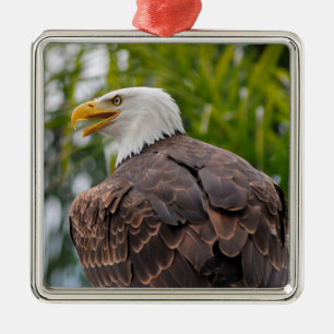 Portrait of bald eagle metal ornament